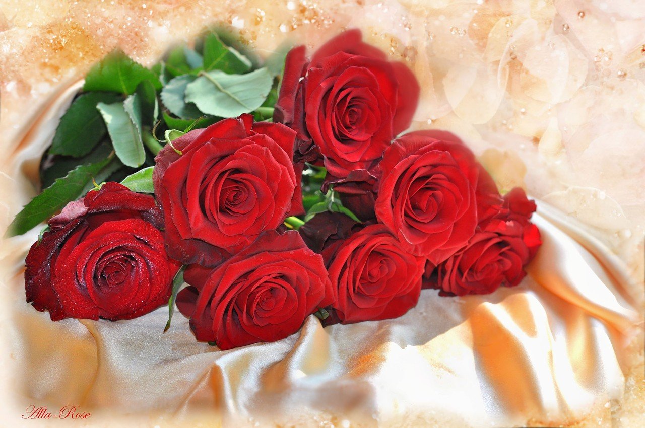 Букет Роз Для Любимой Девушки Фото