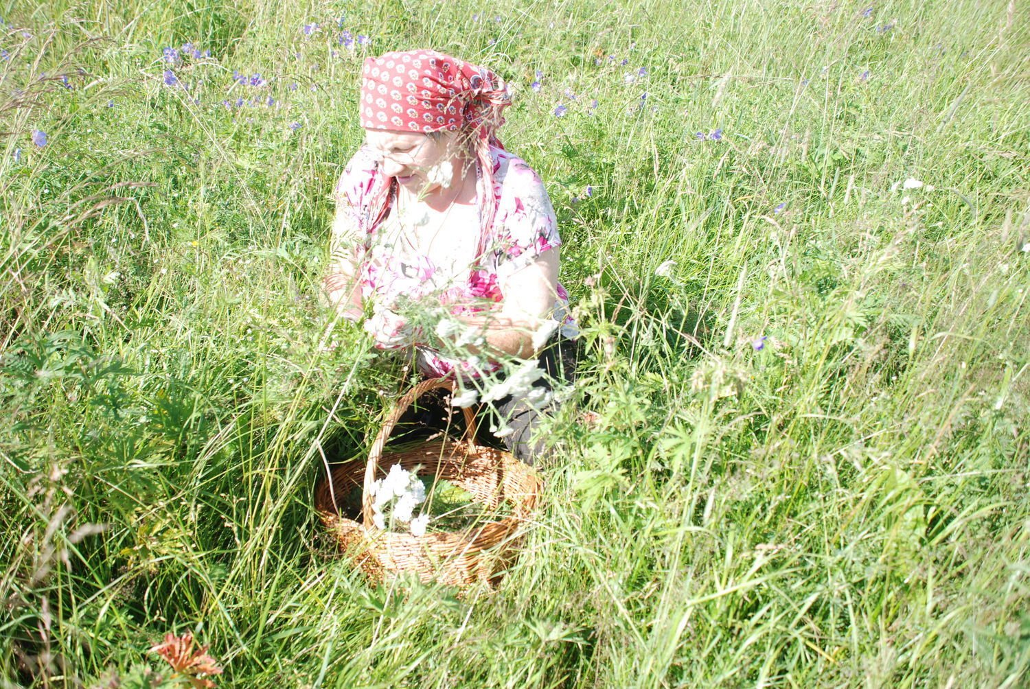 Сельская жительница на поляне