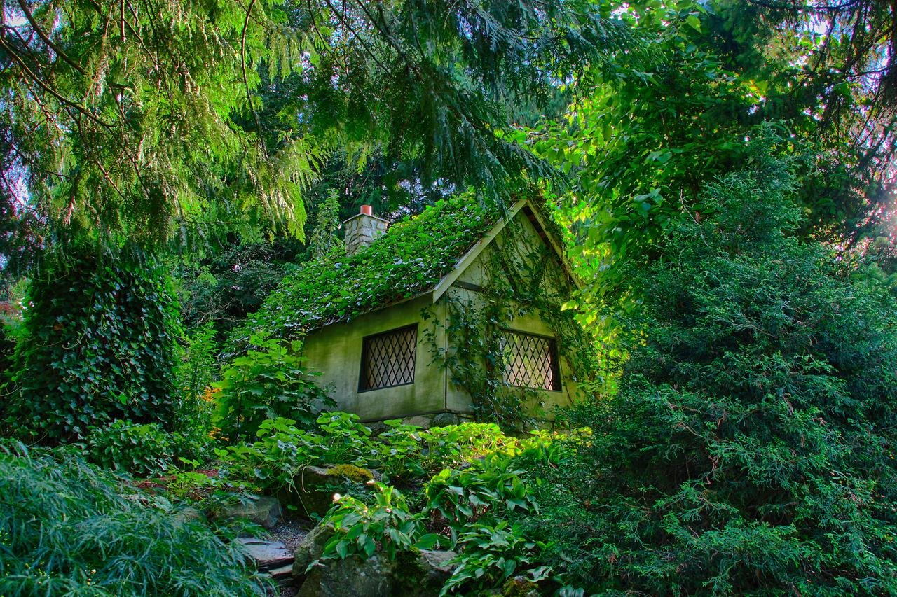 House the woods