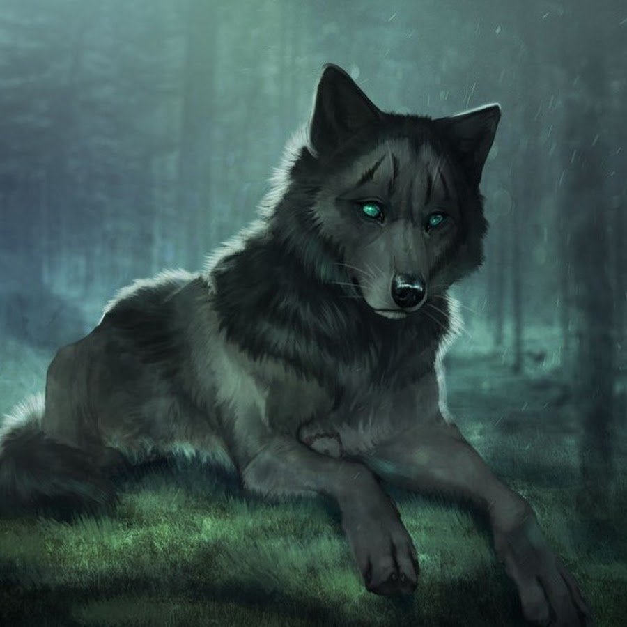 Тема: Арт работы Блэк Вольф аниме Блэк Вольф аниме Черный волк Чёрный волк ...