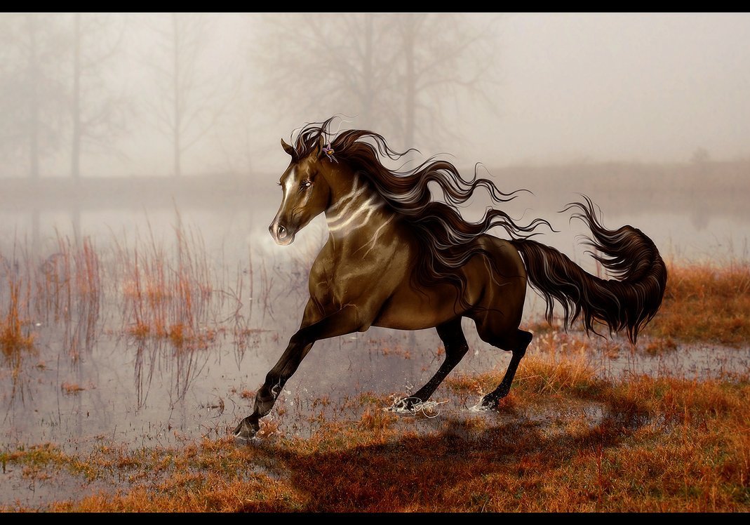 Конь бежит