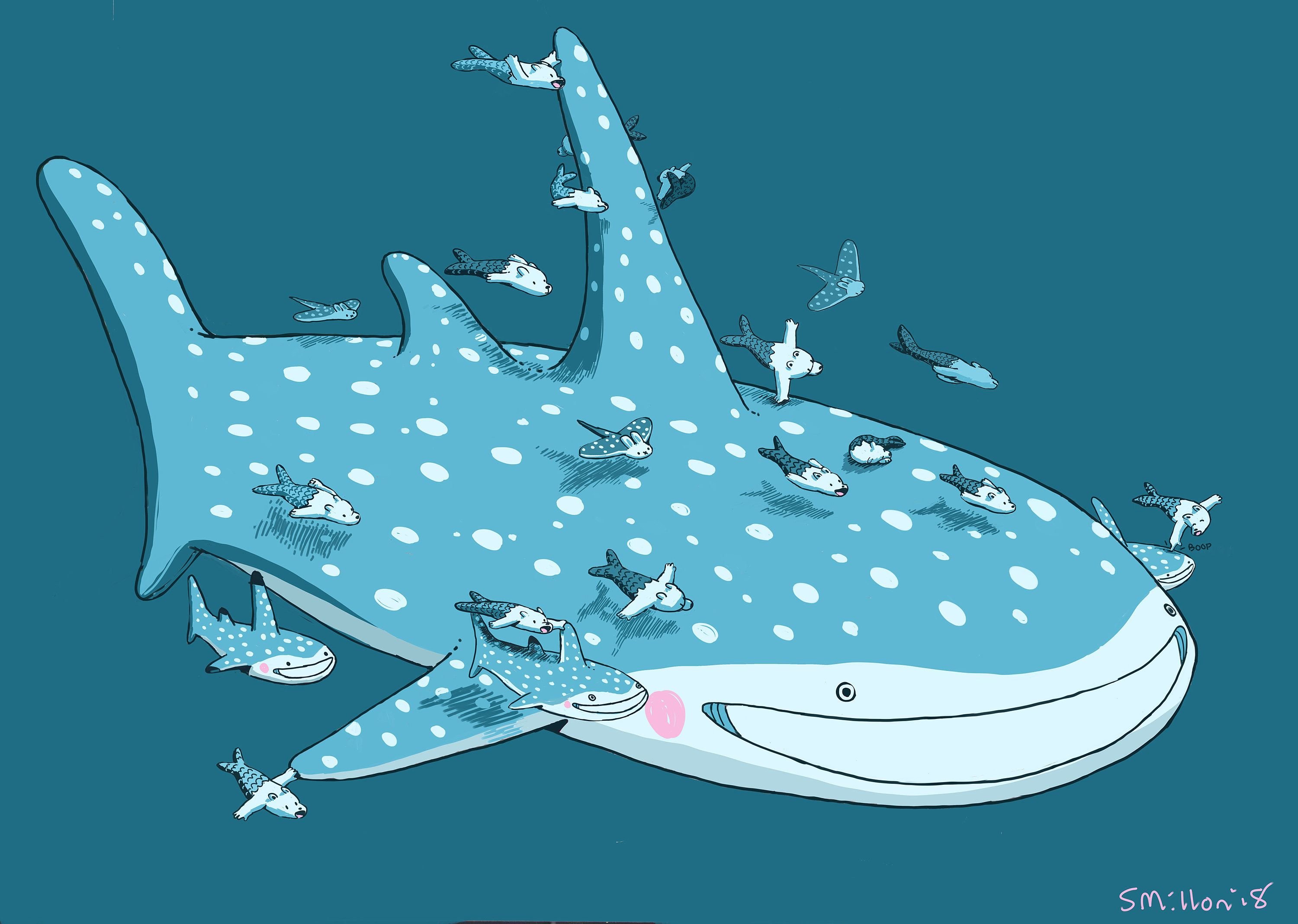 Китовая акула референс