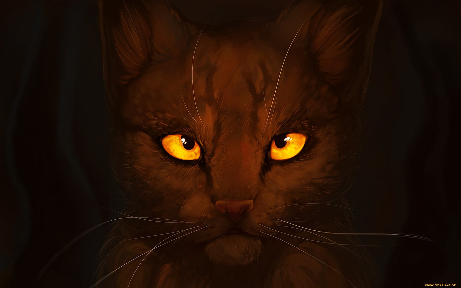Коты Воители рыжий кот с янтарными глазами