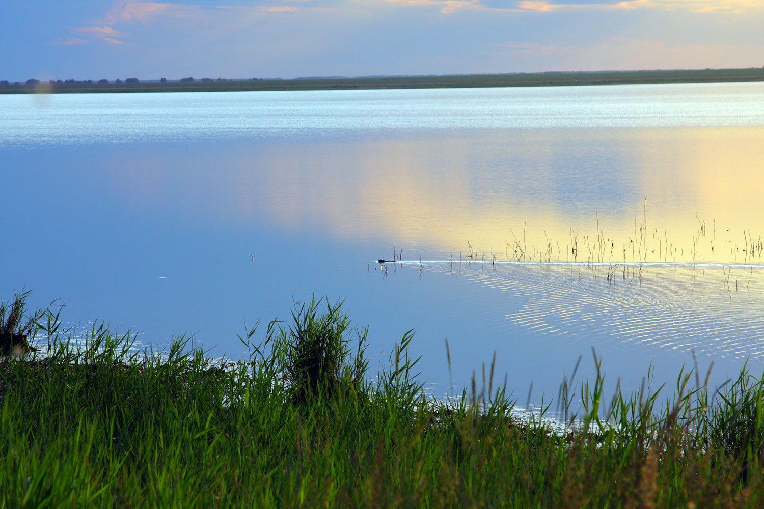 Озеро Чаны Новосибирская область