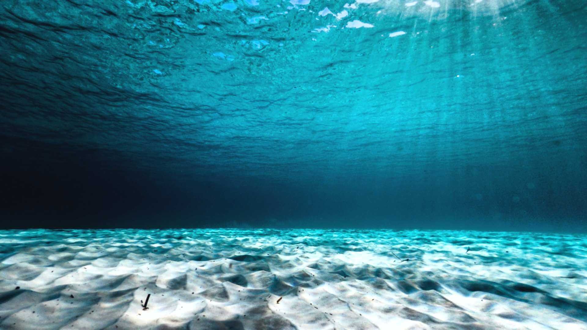 Глубокие воды океана