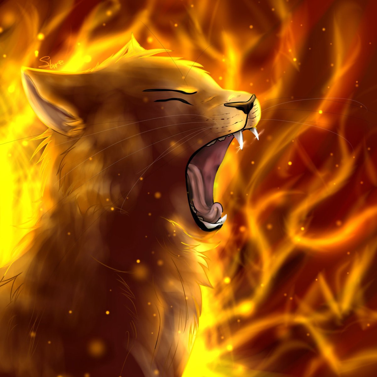 Коты Воители Огнезвезд и огонь
