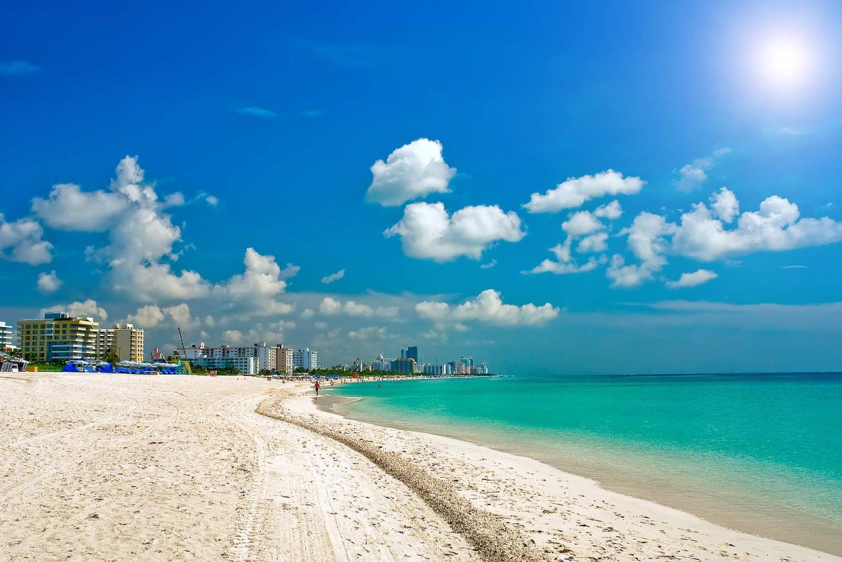 Пляж майами бич флорида купить торговую недвижимость