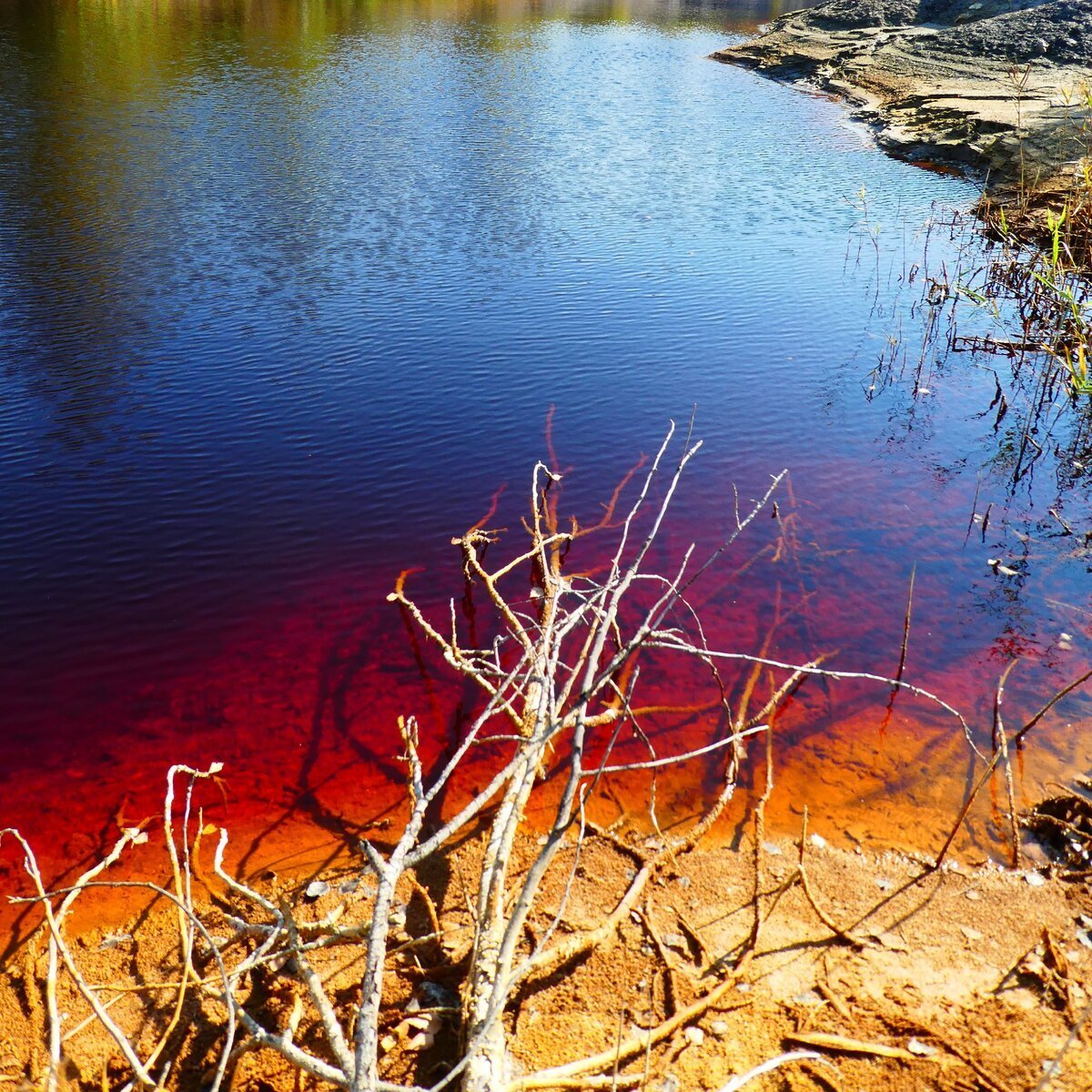 Красное озеро красноярский край