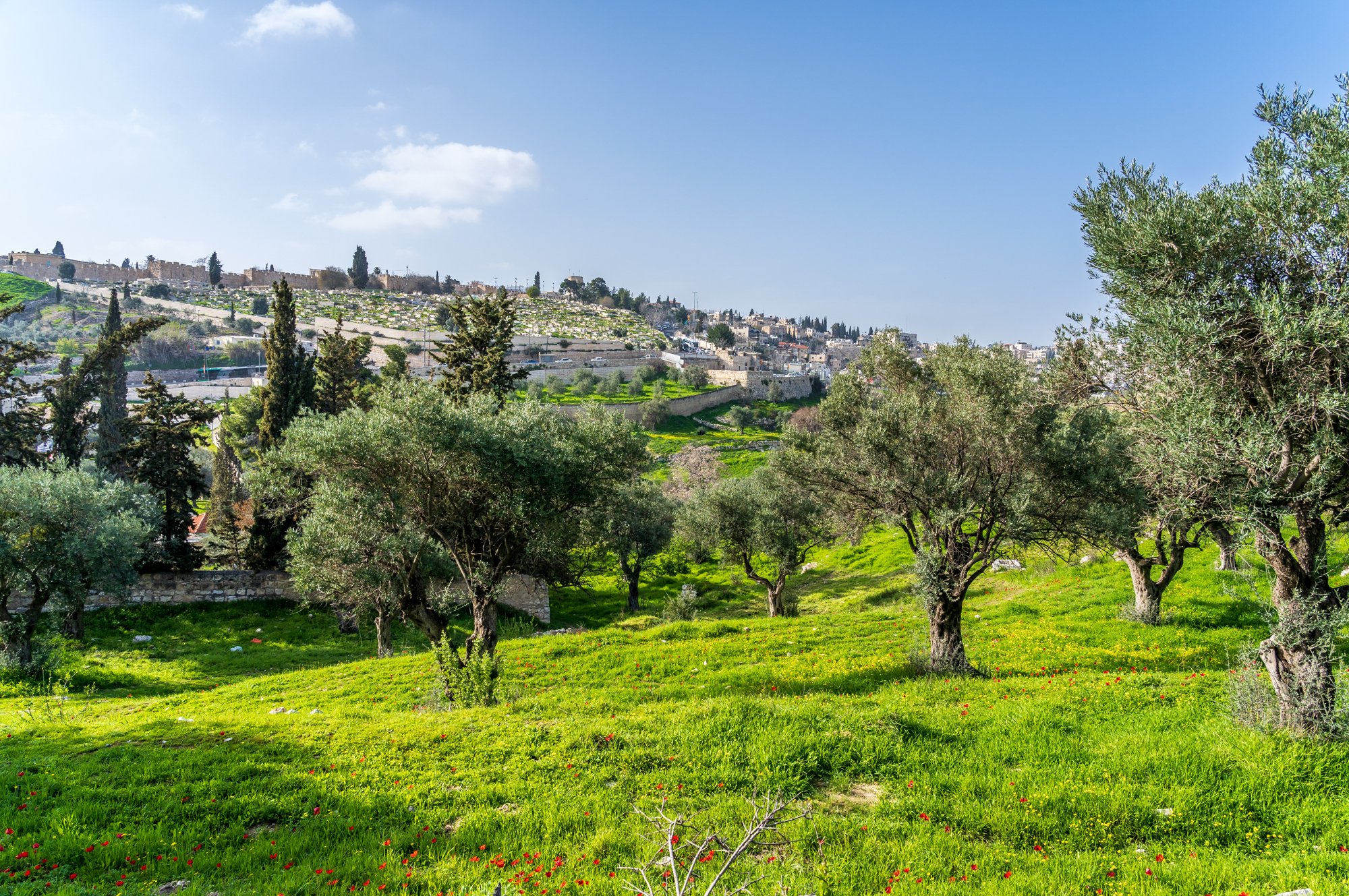 Елеонская гора в Иерусалиме