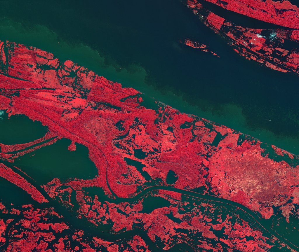 Амазонка фото река с космоса