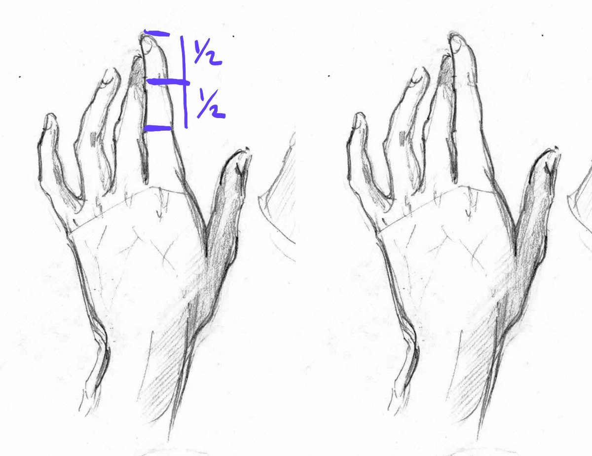 Как нарисовать руку фото