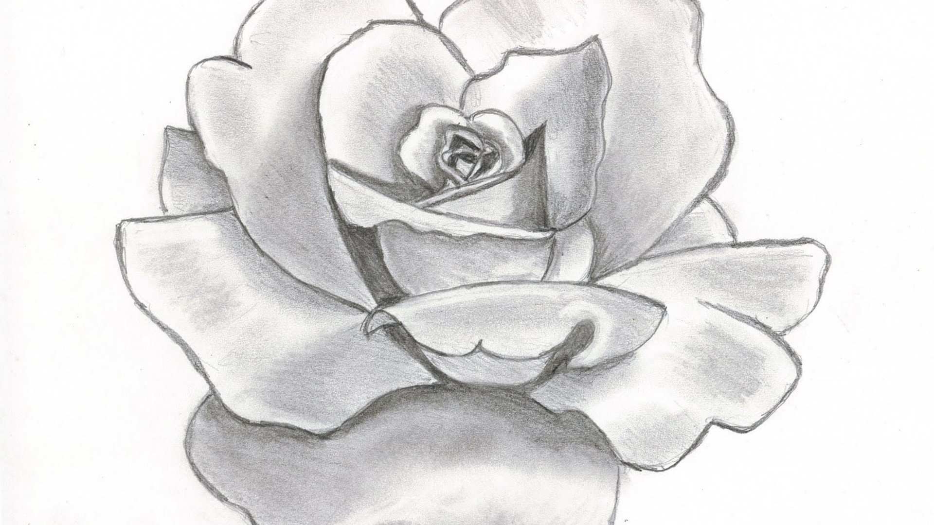 Рисунки для срисовки лёгкие цветы