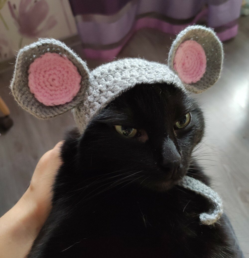 Котиковая шапка