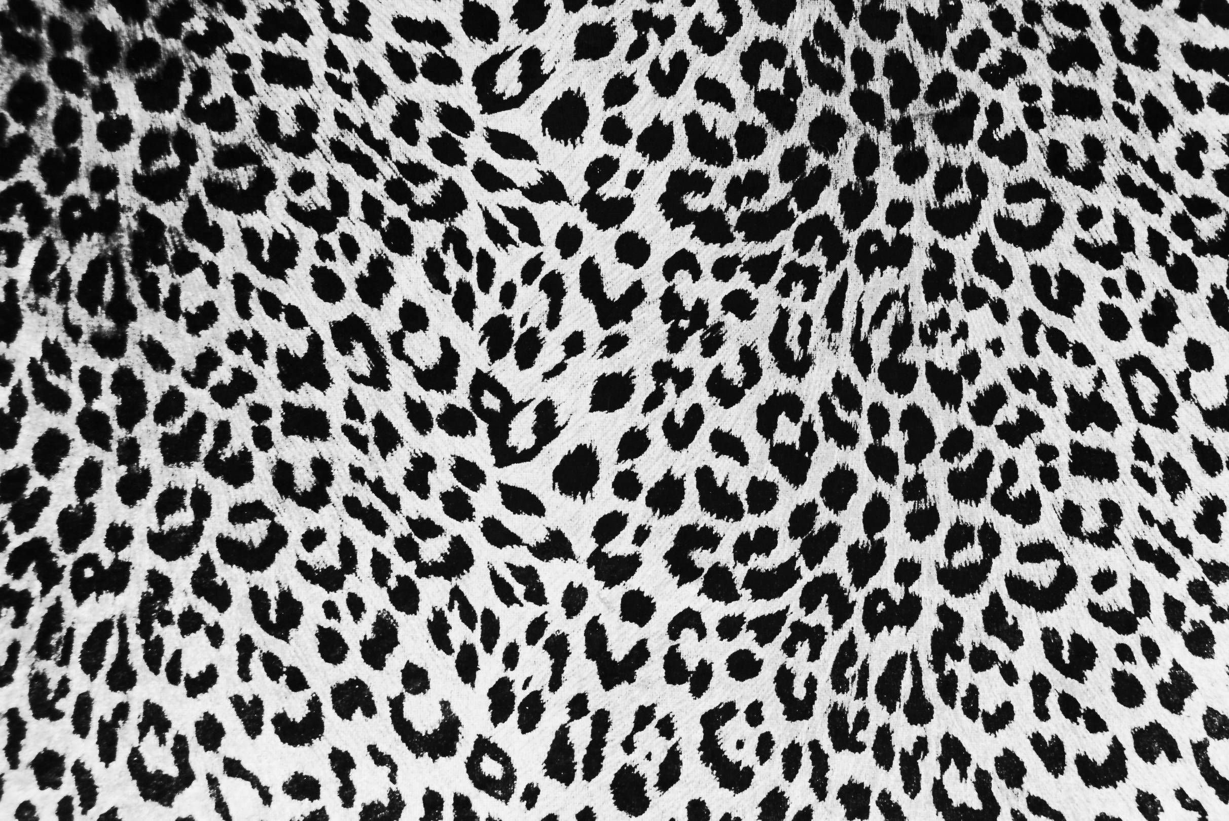 Черные фоны с леопардами.