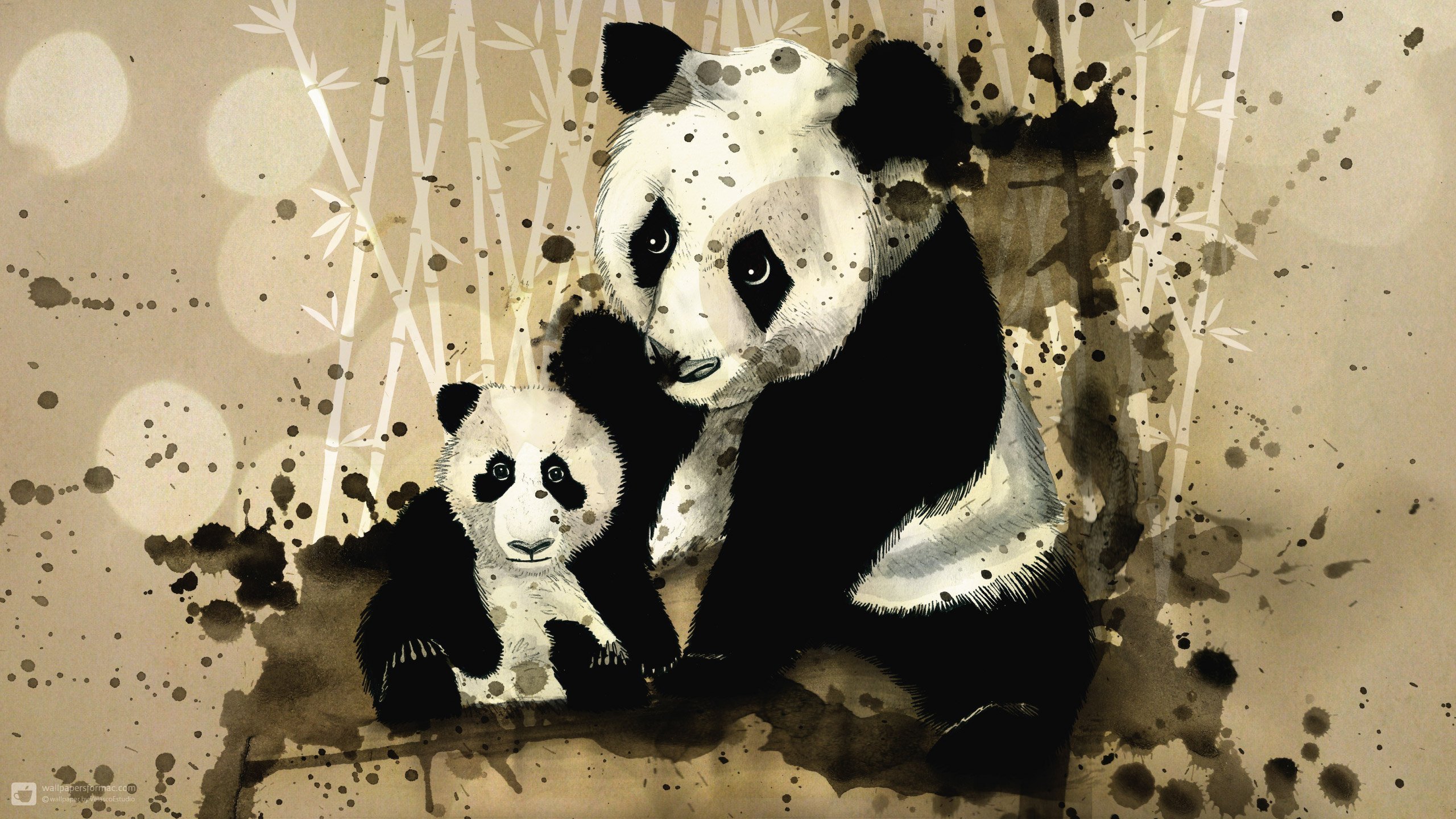 Смешные фоны с пандами.