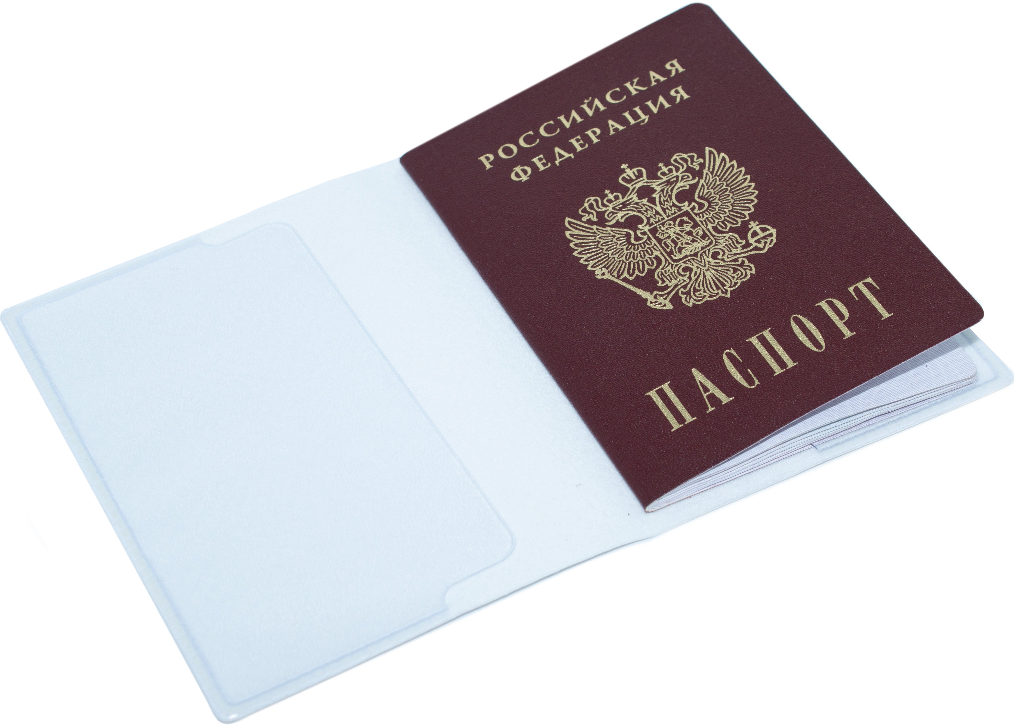 Белый Фон Для Фото На Паспорт