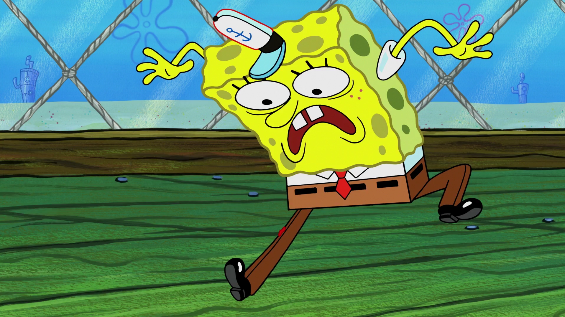 Hoes mad spongebob flag - ðŸ§¡ Image - 343979 SpongeBob SquarePants Know Your...