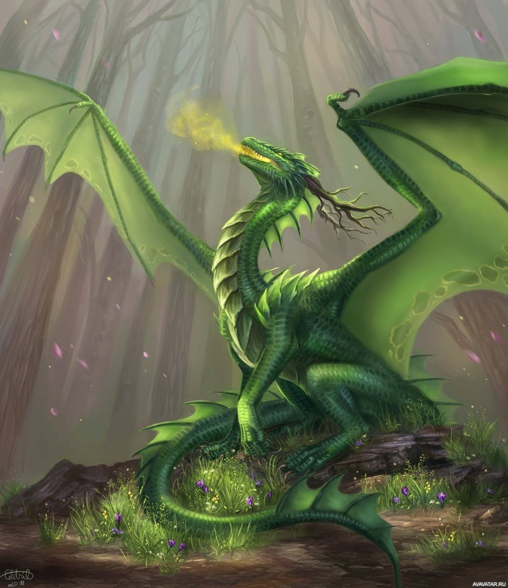 Зеленый дракон арт.