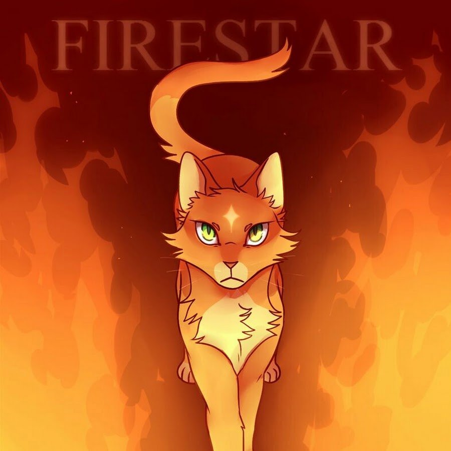 Коты воители огнезвезд арт