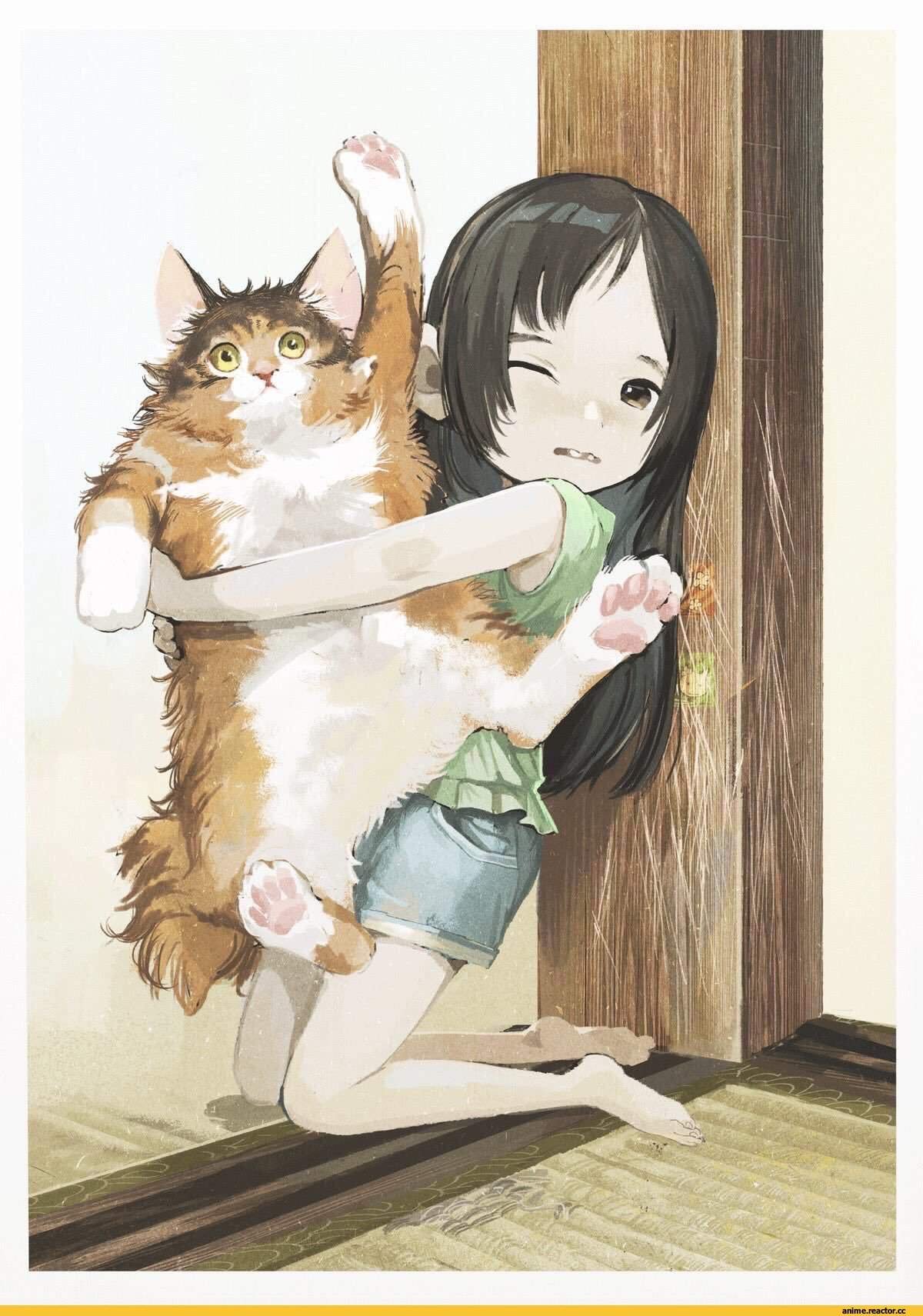 Кот и собака аниме - картинки, фото и рисунки.