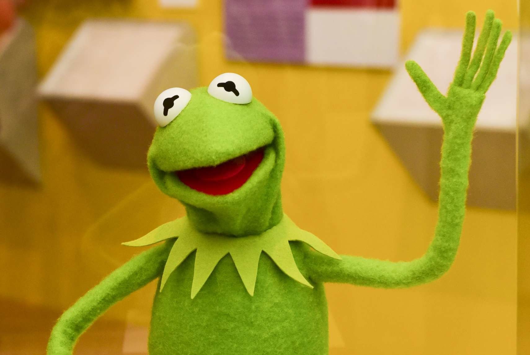 Kermit rule 34 - 🧡 Kermit the Frog Mating Heather Gwinn Flickr.