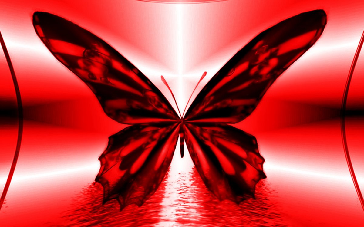 Бабочки на Красном фоне