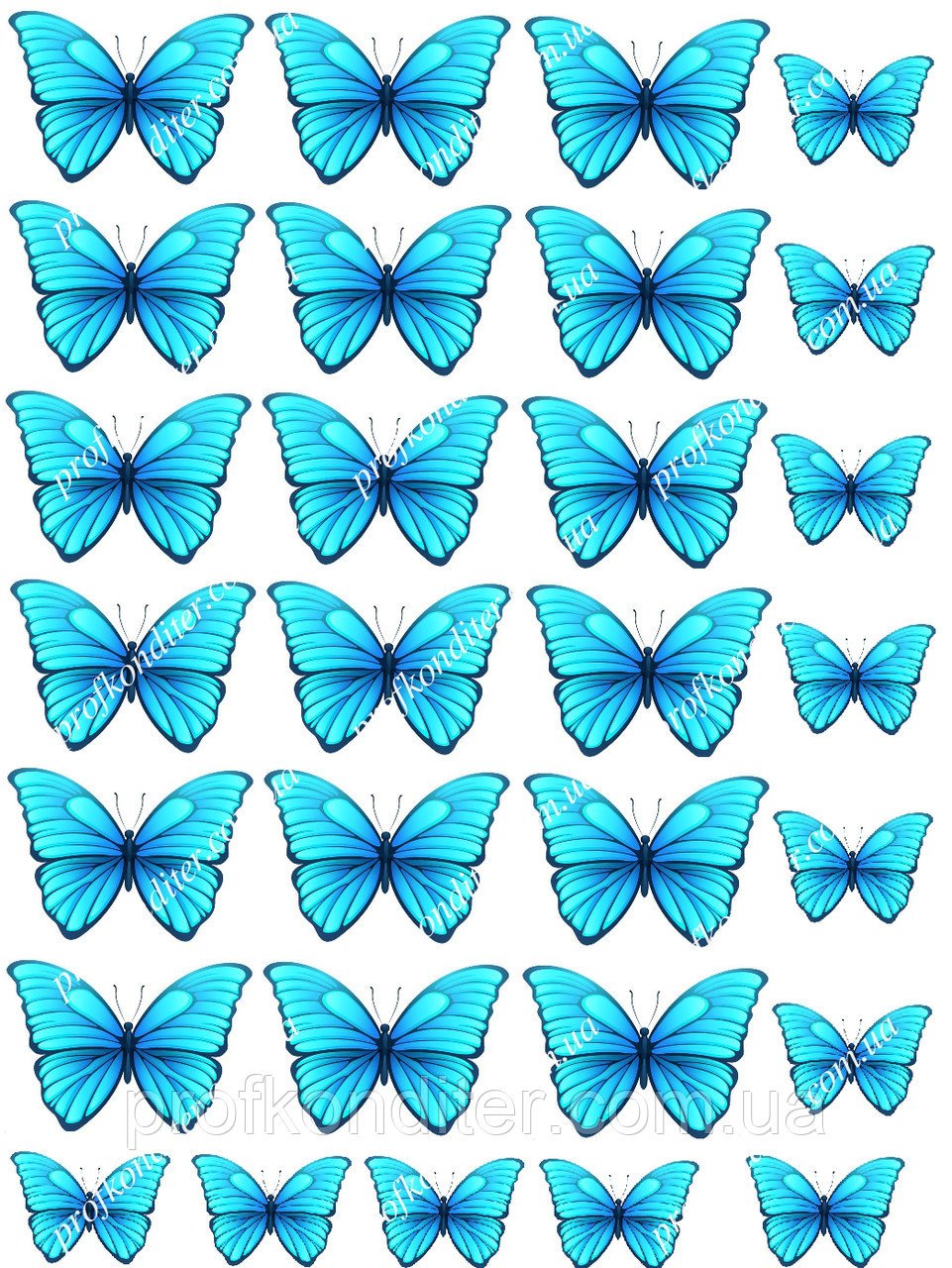 Красивые бабочки картинки для печати