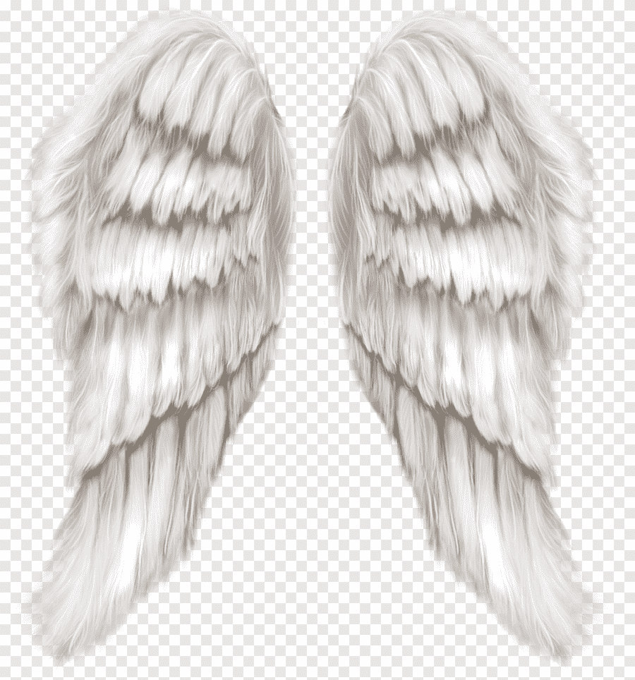 Картинки крылья ангела - картинки, фото и рисунки.