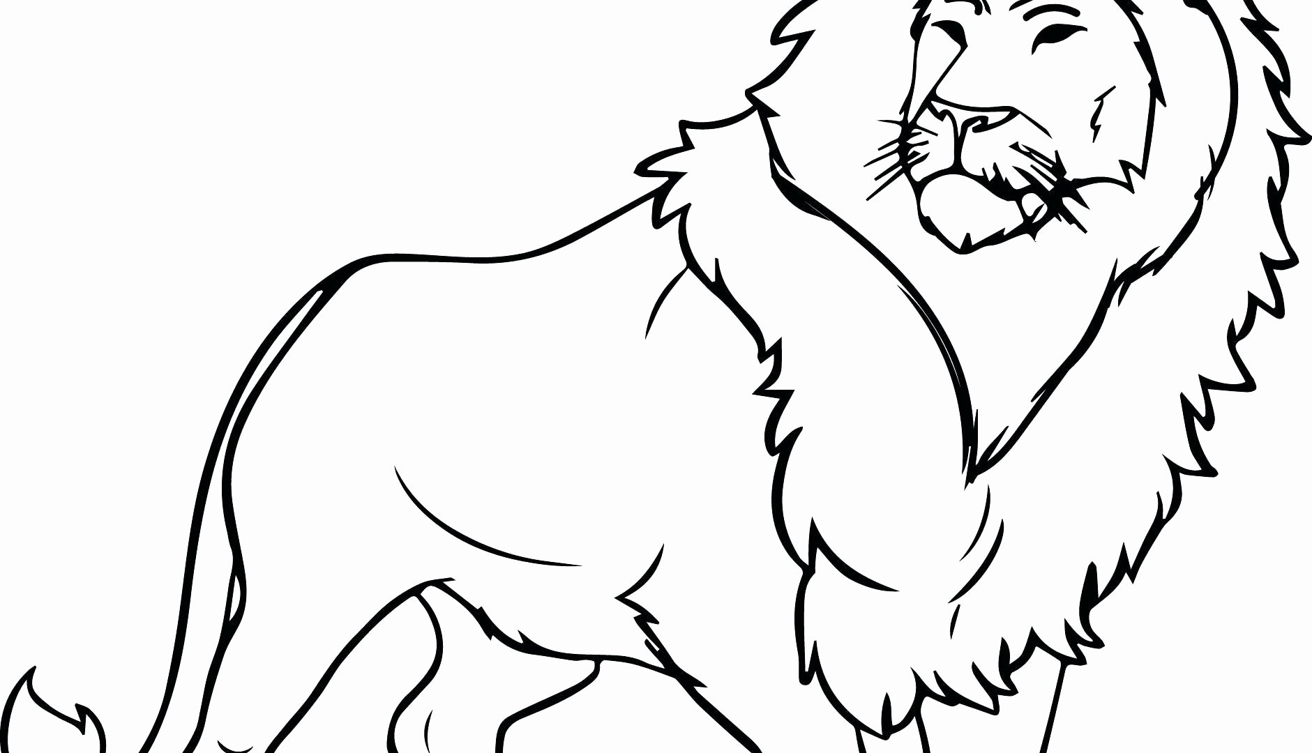 Рисунок Льва легкий