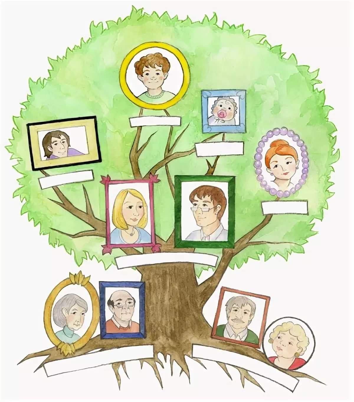 Родословное дерево семьи