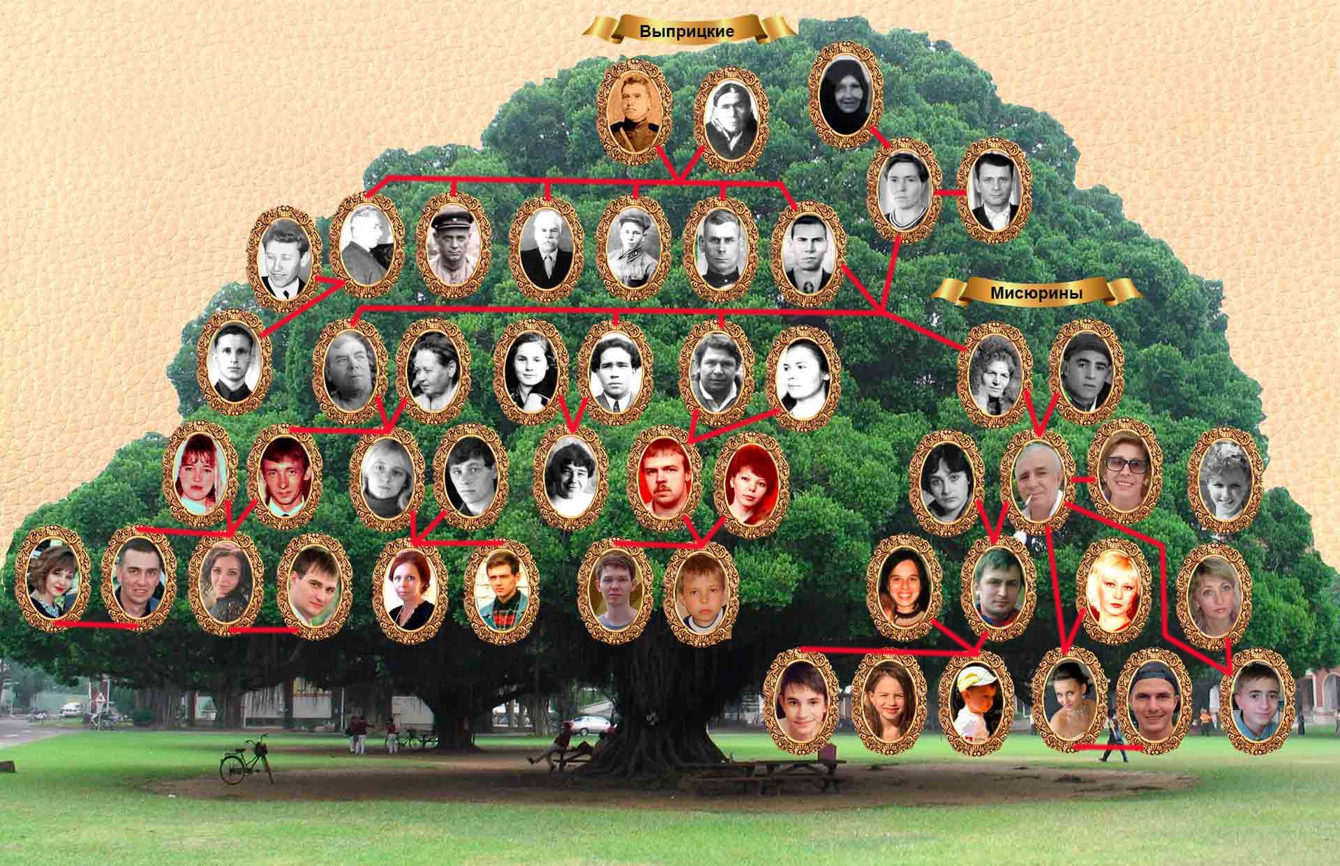 Картинка дерева для родословной без фото и подписи