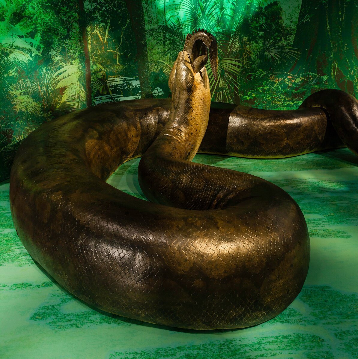 титанобоа самая большая змея жившая 60 - Mobile Legends