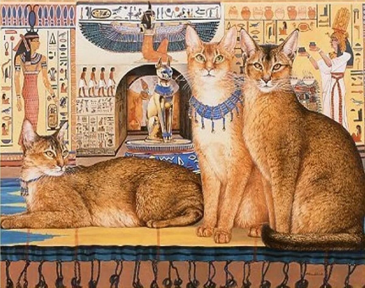 Кошка древнеегипетская