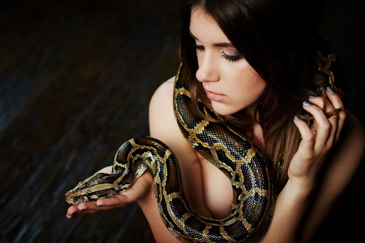Змей Искуситель Фото