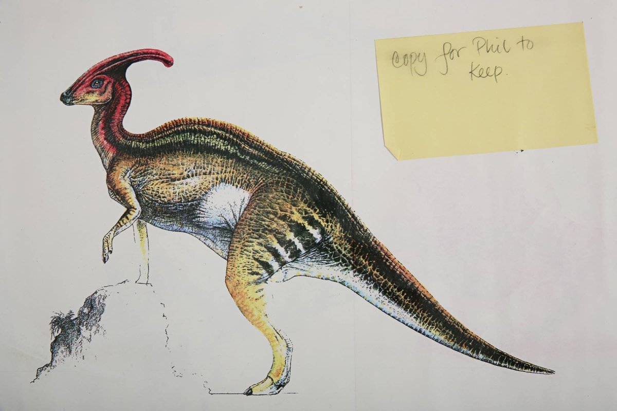 Dieta del dilophosaurus