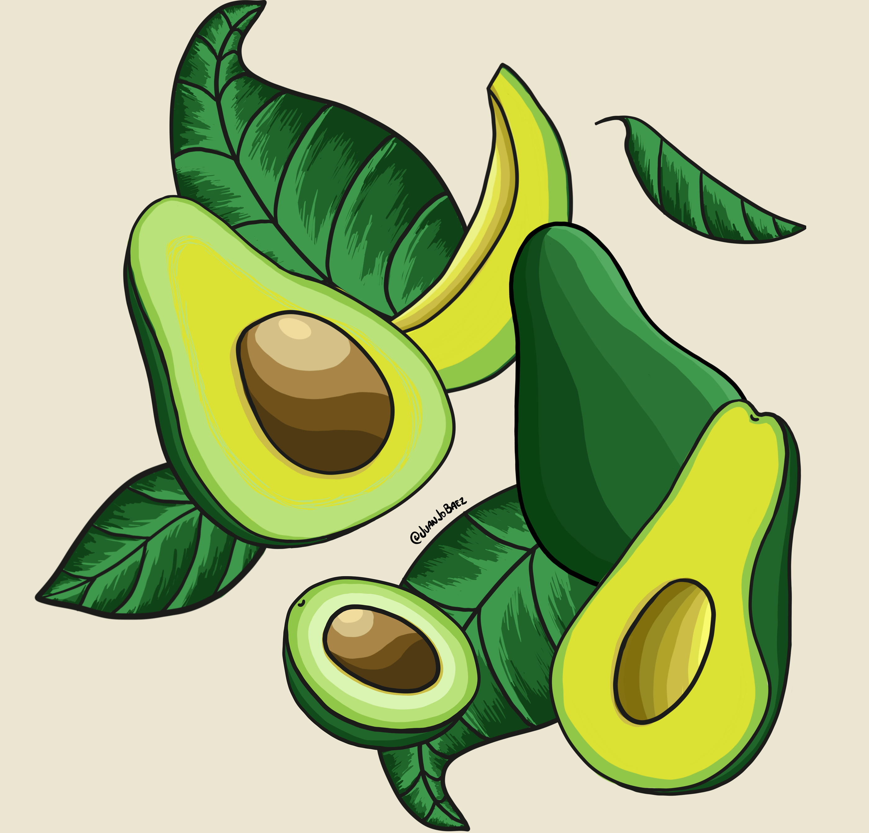 Раскраска авокадо