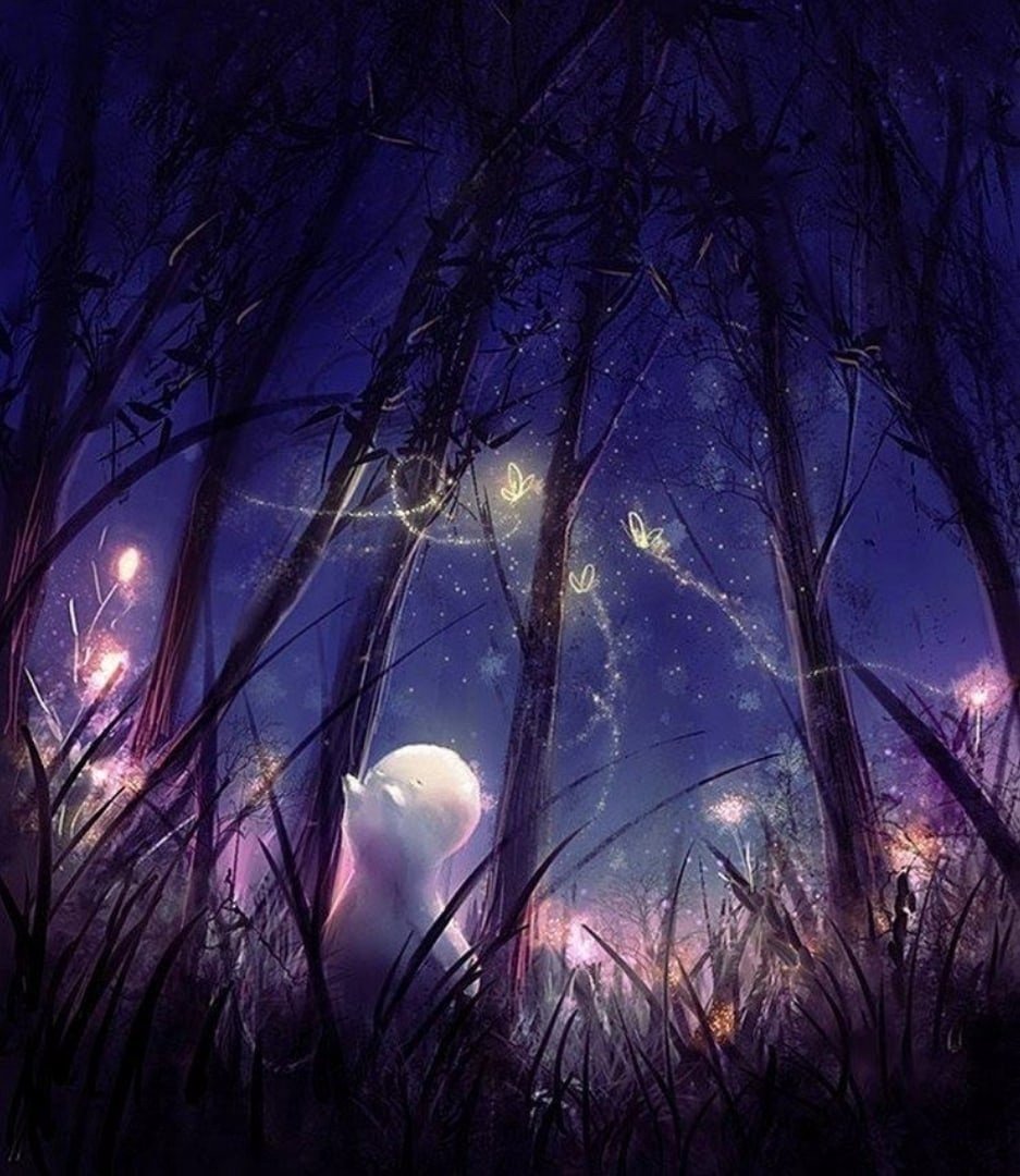 Сказочные красивые ночные картинки